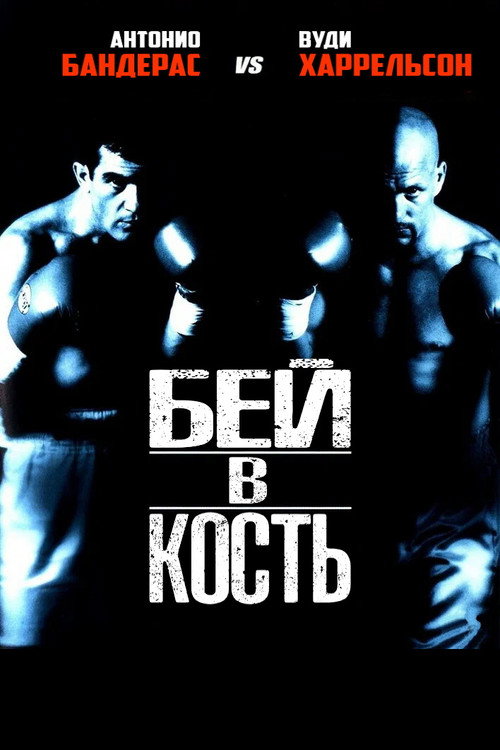 Постер: Бей в кость