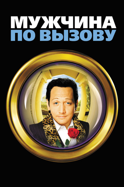 Постер: Мужчина по вызову